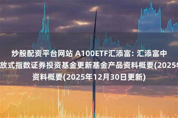 炒股配资平台网站 A100ETF汇添富: 汇添富中证A100交易型开放式指数证券投资基金更新基金产品资料概要(2025年12月30日更新)